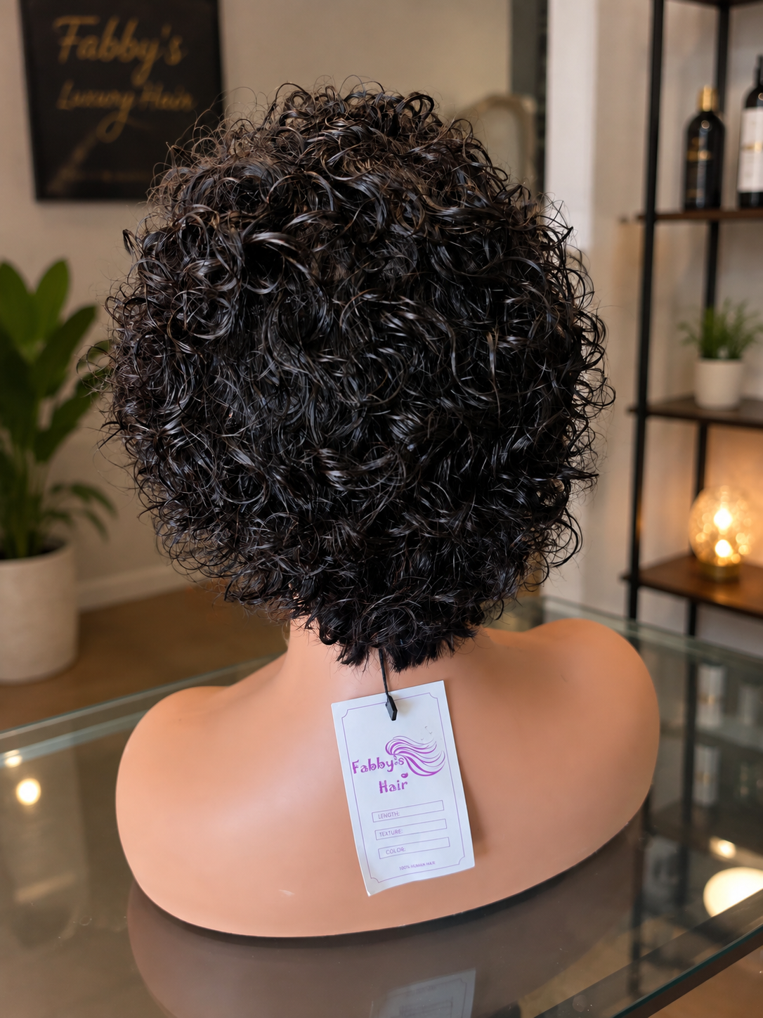 5x5 Lace Short curly Human Hair Wig